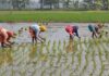 Women Farmers Urged To Focus On Value Addition, Entrepreneurship