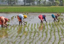 Women Farmers Urged To Focus On Value Addition, Entrepreneurship