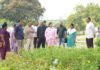 CMC Chief Inspects Parks and Ongoing Development Works in Kukatpally