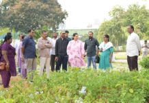 CMC Chief Inspects Parks and Ongoing Development Works in Kukatpally