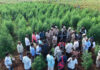 Nellore Police Bust Ganja Cultivation In Maize Field, 6 Held