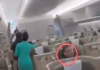 “Tired Of Spreading Lies.. Let Me Tour Vietnam For A While, Who Would Know About It”: BJP Post On Rahul Gandhi In Flight Video
