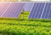 New Policy in Works to Boost Agrivoltaics in India