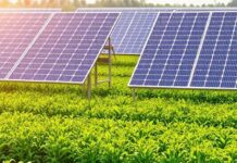 New Policy in Works to Boost Agrivoltaics in India