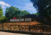 Vandalur Zoo Closes Due to Bird Flu Spread Threat