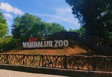Vandalur Zoo Closes Due to Bird Flu Spread Threat