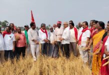 CPM Raghavulu Objects To Private Enumerators In Census 2027