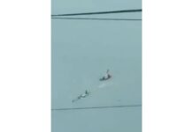 4 Philippine Air Force Pilots Killed As 2 Trainer Aircraft Crash During Training Flight