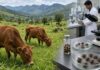 Tick-Borne Diseases Growing Concern