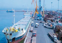 First-Stage Cyclone Warning Signal Hoisted at Krishnapatnam Port
