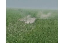 ONGC Gas Leak in Machavaram Under Control, Says Collector