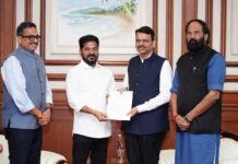 Telangana, Maharashtra Set Up Joint Panel on Tummidihatti