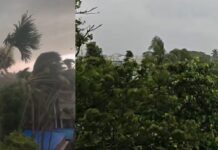 Cyclone Arnab Disrupts Odisha as Government Steps Up Alert