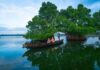 Keralam Govt Explores Sustainable Tourism Options For Munroe Island