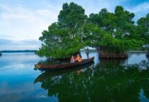 Keralam Govt Explores Sustainable Tourism Options For Munroe Island