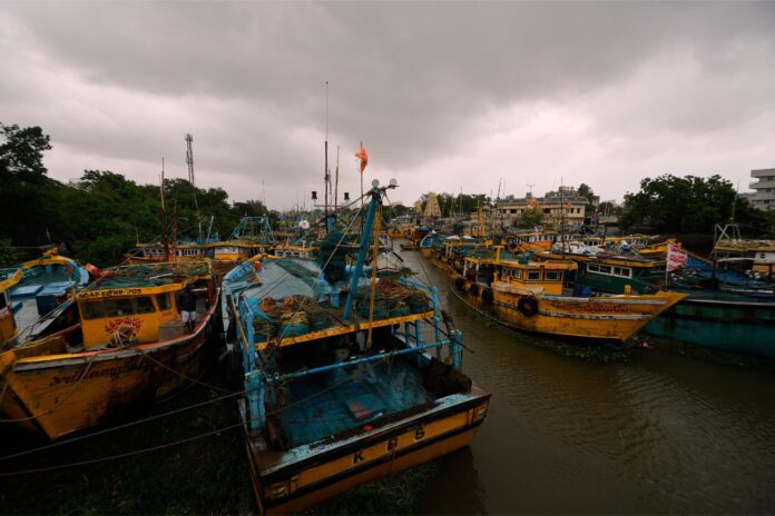 2105981-aa-8487208-1.jpg