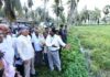 Chandrababu Naidu to Visit Cyclone-Hit Areas for Second Day