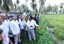 Chandrababu Naidu to Visit Cyclone-Hit Areas for Second Day