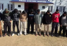 J&K Police Bust Intra-UT Terror Financing Module in Shopian, Arrest 10