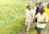CM Naidu’s Crop Insurance Policy to Provide Financial Security to Farmers