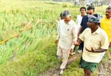 CM Naidu’s Crop Insurance Policy to Provide Financial Security to Farmers