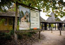 Zookeeper dies after leopard savagely mauls her inside animal enclosure