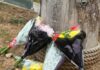 Man killed by tiger at Yorkshire zoo had bouts of psychosis, inquest hears