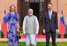 India, Liechtenstein Look To Deepen Ties In Trade, Technology And Talent: MEA