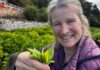 More tea? How Scotland’s crops of the future could be set to change