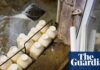 Physicians’ group calls for ban on raw milk – as it’s becoming increasingly popular in the US
