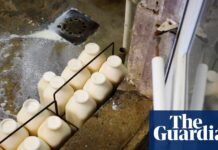 Physicians’ group calls for ban on raw milk – as it’s becoming increasingly popular in the US