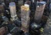 BXP’s 343 Madison Ave. tower is going up