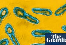New York City med spa owner admits to giving client botulism with bootleg Botox