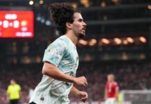 Ronaldo saga ‘will not divide us’, Jesus vows after Portugal win over Denmark