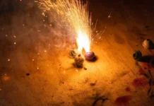 Lower Noise, 30% Less Emissions: What Are Green ‘Ladi’ Crackers That the Supreme Court Has Allowed This Diwali?