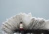 Storm Boelo: Travel disrupted and events cancelled as UK hit by wind and rain