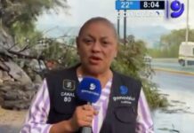 Mexico TV correspondent and cameraman are slammed by SUV during live broadcast: video
