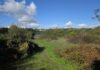 Data centre developers may build ‘climate-wrecking’ gas power plant next door