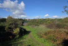 Data centre developers may build ‘climate-wrecking’ gas power plant next door