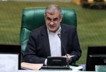 Parliament vice-speaker warns regional states: Siding with US will not bring security