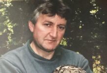 ‘The wood is alive’: Ranger retires after 38 years