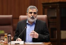 Iran to pursue national interests through diplomacy or on the battlefield: AEOI