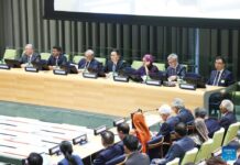 Let development become a common language connecting the world