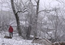 Iran’s “The Long Winter” wins award at Eurasia documentary festival