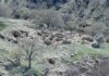 Forgotten Safavid-era village discovered in southern Iran