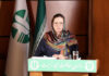 UN official: Environmental protection must be integral to post-war recovery
