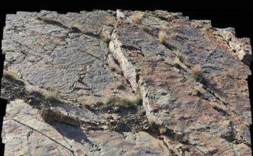Dozens of possible dinosaur footprints emerge in Iran, researcher urges urgent documentation