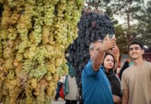 Feast of grapes: A harvest tradition and travel experience in Iran