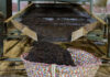 Dry tea production increases 23%