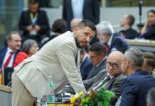 ‘Nothing is certain’: Has Germany’s firewall against the far-right finally cracked?